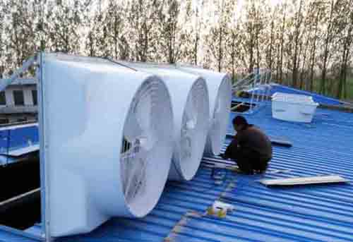 上海玻璃钢屋顶风机价格 上海玻璃钢屋顶风机价格