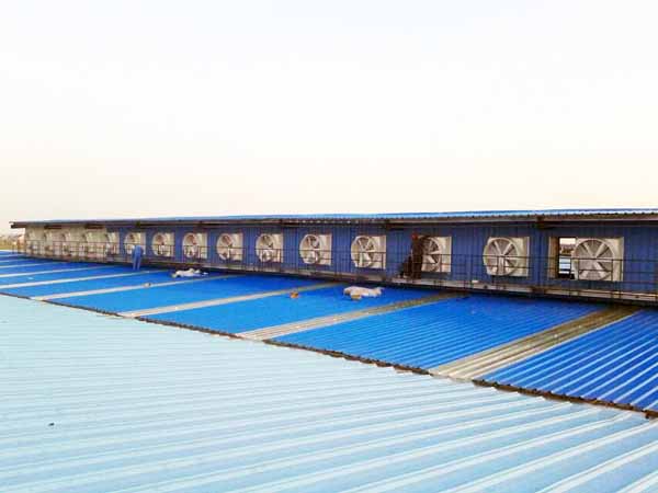 北京屋顶风机叶轮选择 北京屋顶风机叶轮选择