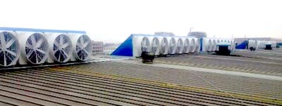 济南屋顶风机厂家 济南屋顶风机厂家