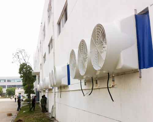 负压风机直销趋势 负压风机直销趋势