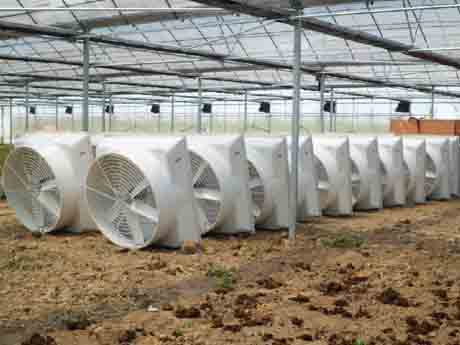 东台大历史上负压风机用电参数 东台大历史上负压风机用电参数