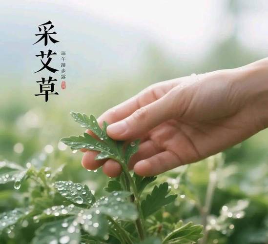 澳门管家婆100%精准香港和端午遇上六一与端午遇上六一文案