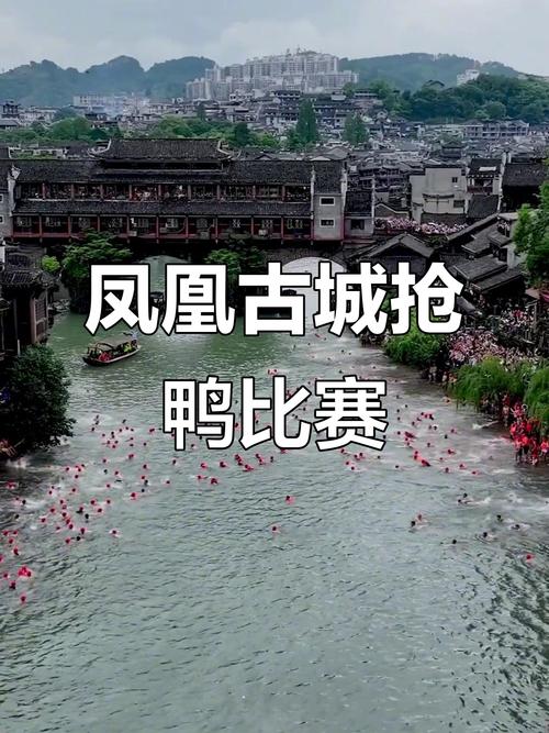 澳门管家婆100%精准天天和凤凰古城百人抢鸭子与凤凰古城百人抢鸭子是真的吗