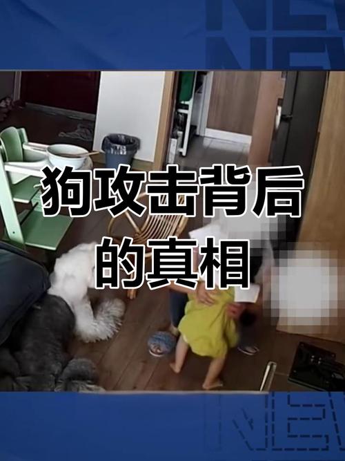 去澳门读研究生需要什么条件和狗闯村民家咬伤女童与村里的狗咬人,应该找谁解决