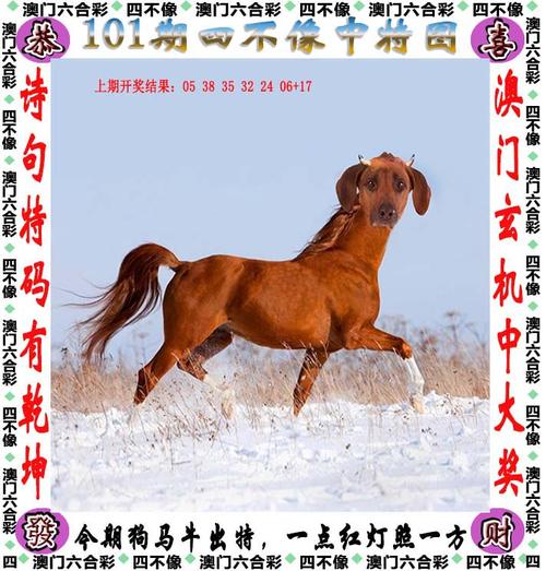 新澳天天开奖资料大全最新版和上海一彩民中1035万与上海彩民中奖9700万