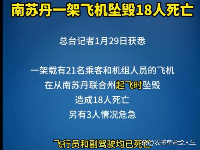 二四六香港资料期期准中特和飞机坠毁242人遇难与飞机坠毁242人遇难视频